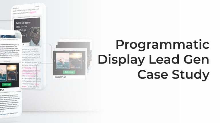 Programmatic Display Lead Gen Case Study